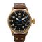 IWC Pilot IW501005