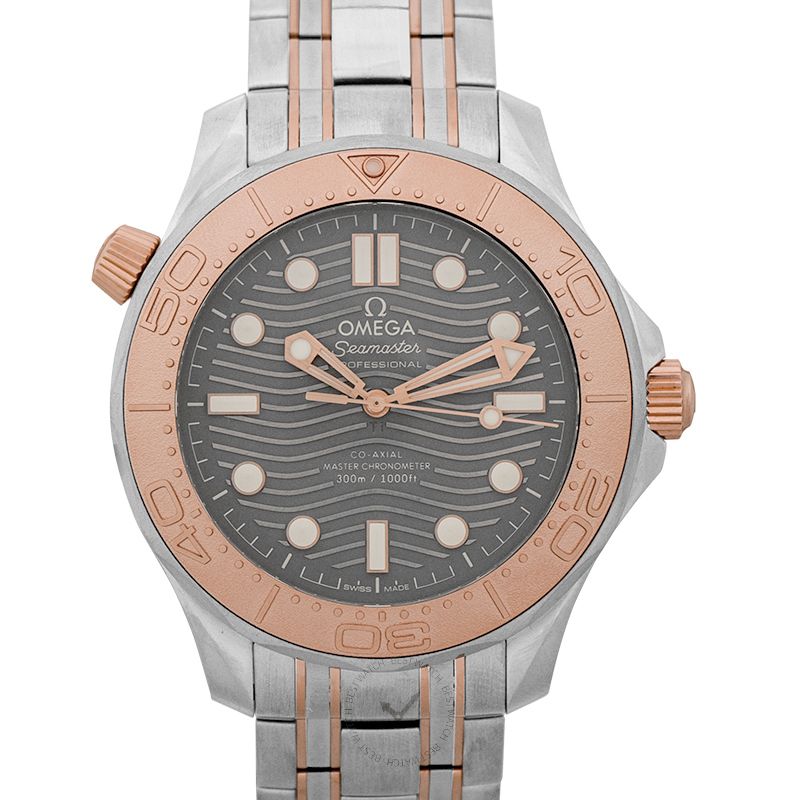 Omega Seamaster 210.60.42.20.99.001